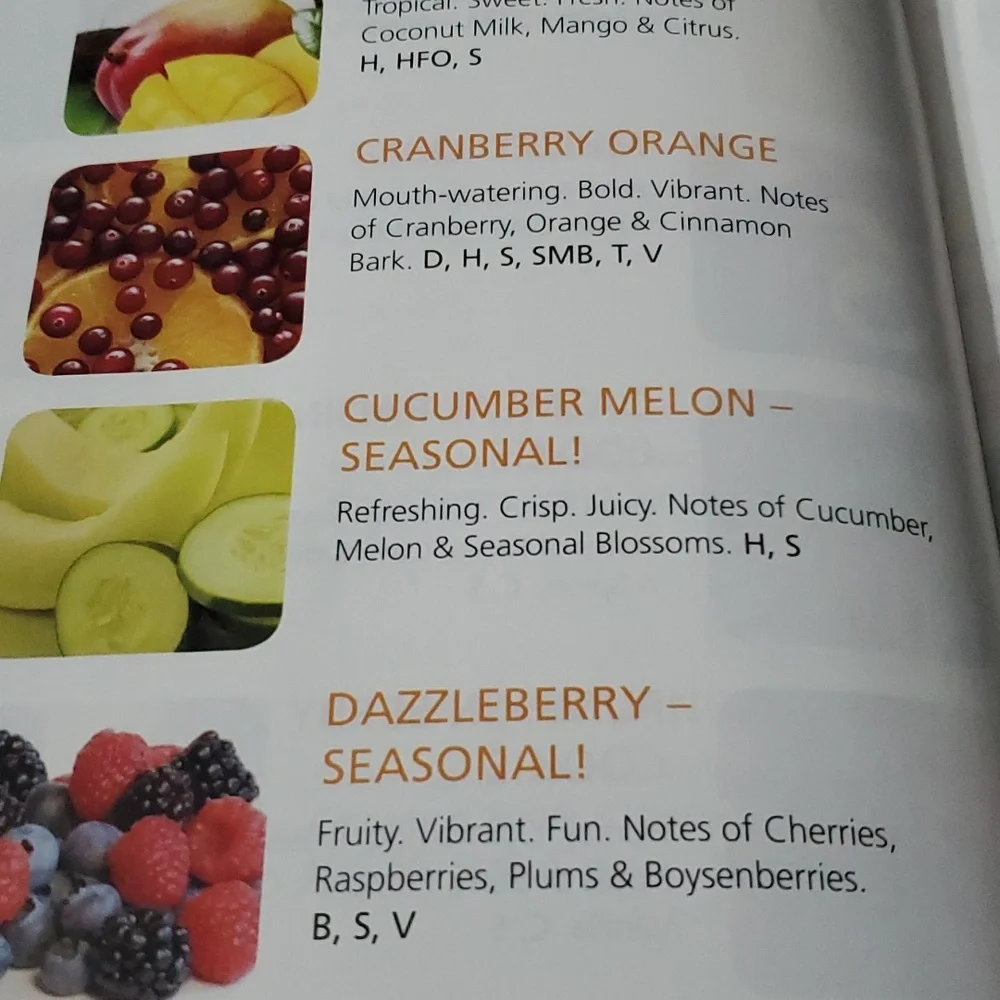 CUCUMBER MELON Medium/16 oz two wick Bella jar Gold Canyon candle‎